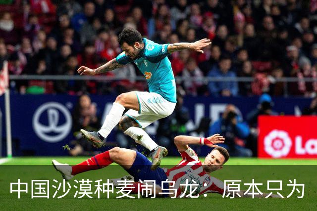 中国沙漠种麦闹乌龙：原本只为“保粮仓”增产，却意外发现金黄麦浪成治沙神器，彻底改变治沙思路？