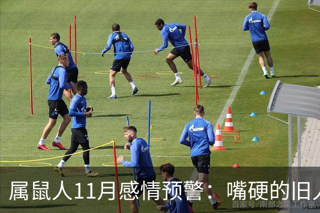 属鼠人11月感情预警：嘴硬的旧人要绷不住了，你准备好了吗？